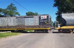 Trenes cargueros vuelven a transitar en precarias condiciones